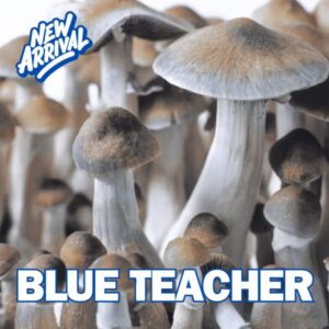 Blue Teacher Spore Syringe