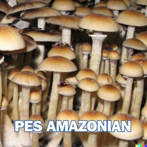 PES Amazonian Spore Syringe