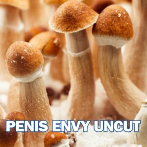 Penis Envy Uncut Spore Syringe