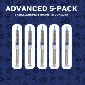 Advanced 5-Pack